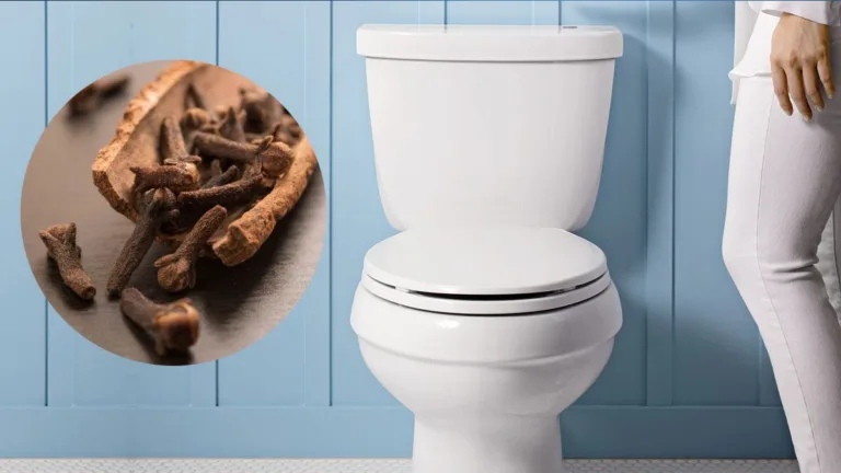 Cravo-da-índia pode eliminar cheiro ruim no vaso sanitário