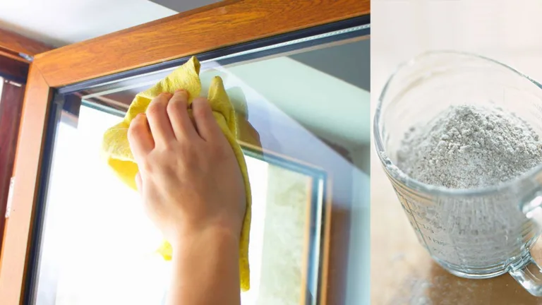 Maizena pode ser ótima solução para limpar os vidros da sua casa