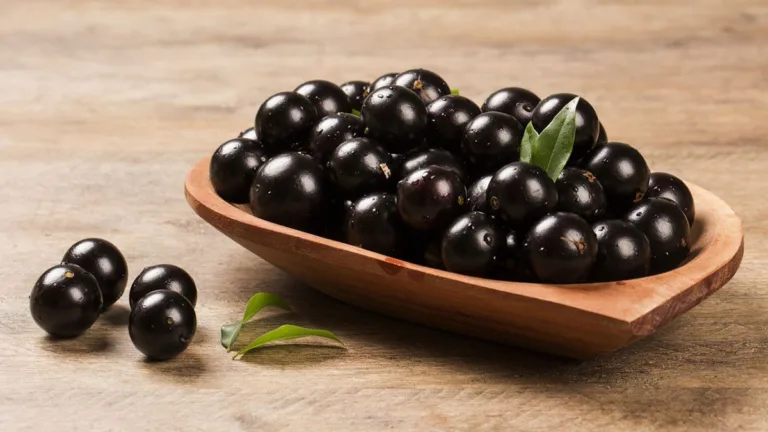 Faça um extrato de jabuticaba para combater diabetes e gordura no fígado