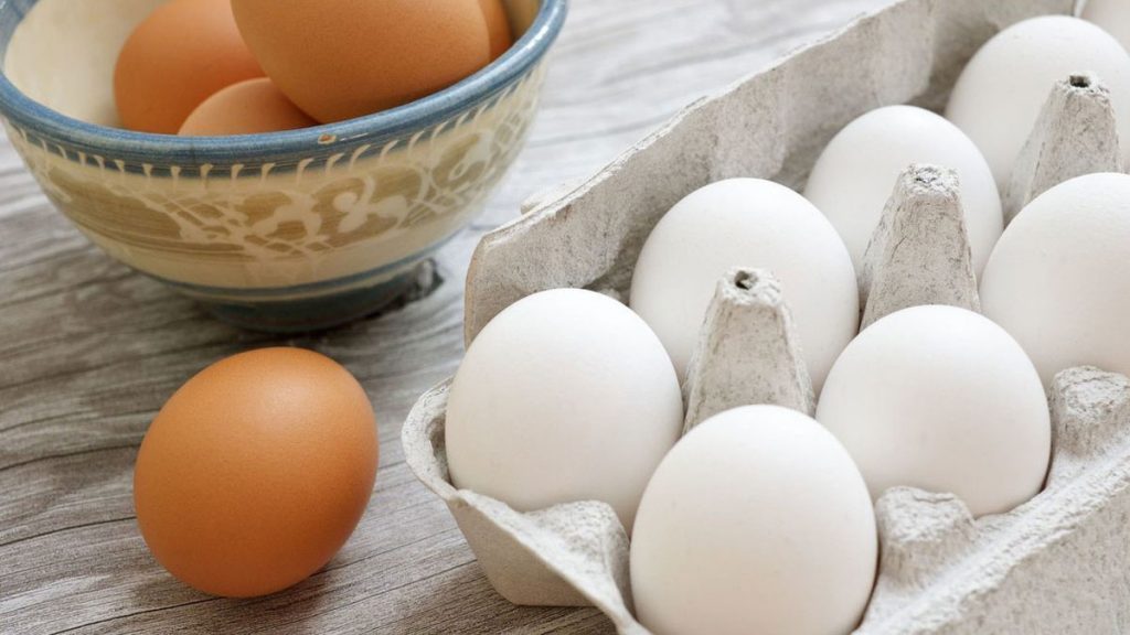 Pesquisas indicam que comer um ovo por dia faz bem para o coração, segundo a pesquisa em Saúde da População (PHRI), da universidade McMaster e da Hamilton Health Sciences.