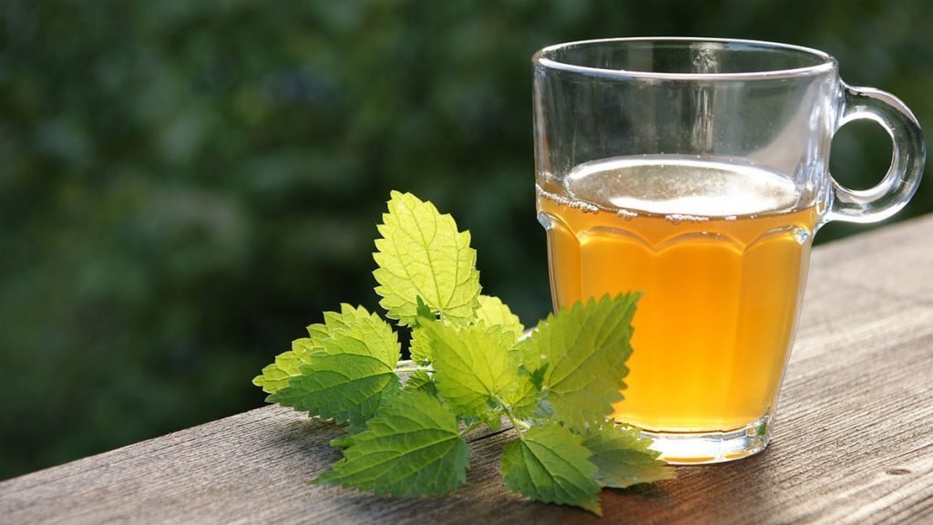 Tomar esse chá desinflama próstata através do consumo da urtiga, que é encontrada até mesmo em terrenos baldios e tem grandes efeitos positivos para diversas áreas da saúde.